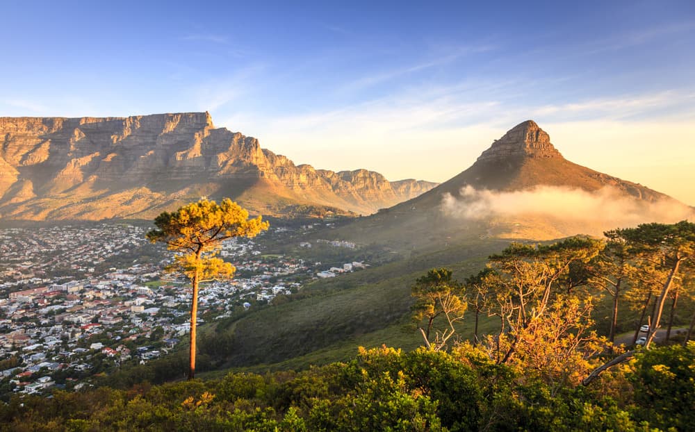 Hiking Lion's Head