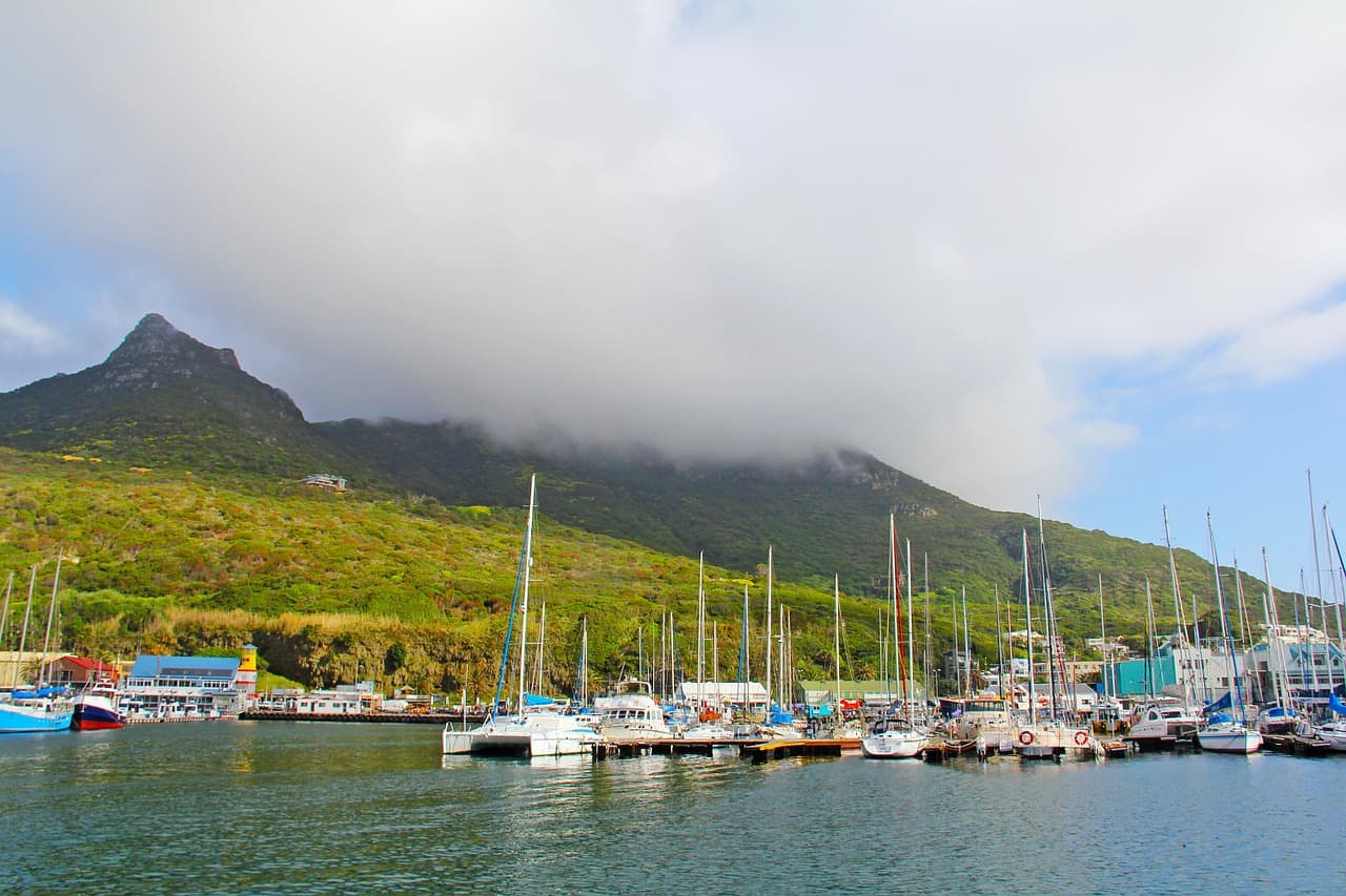 Exploring the Cape Peninsula in a Day