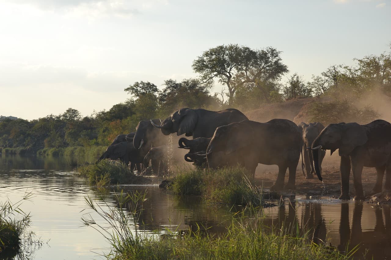 The Most Beautiful Private Reserves Near Kruger National Park in South Africa