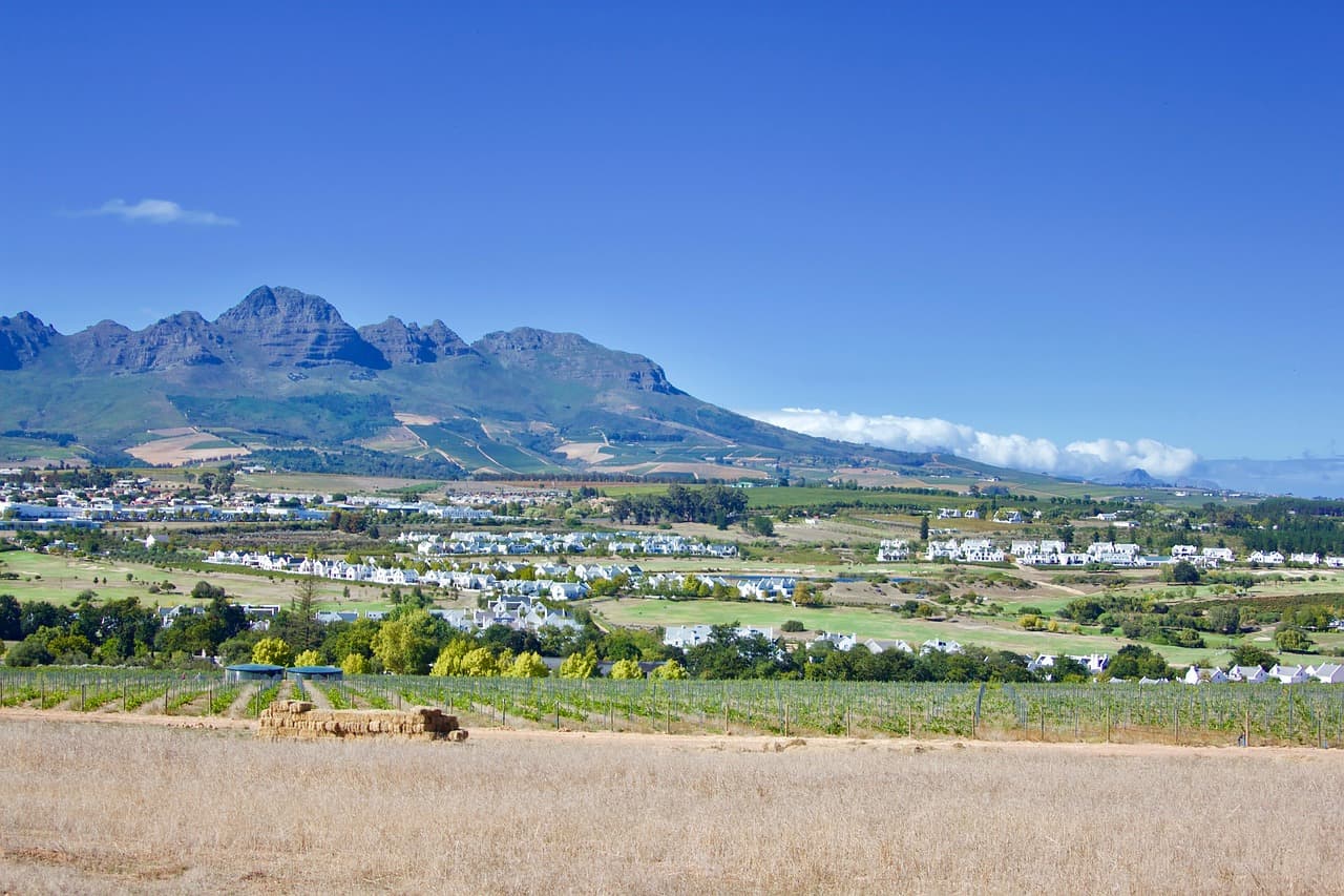 stellenbosch3