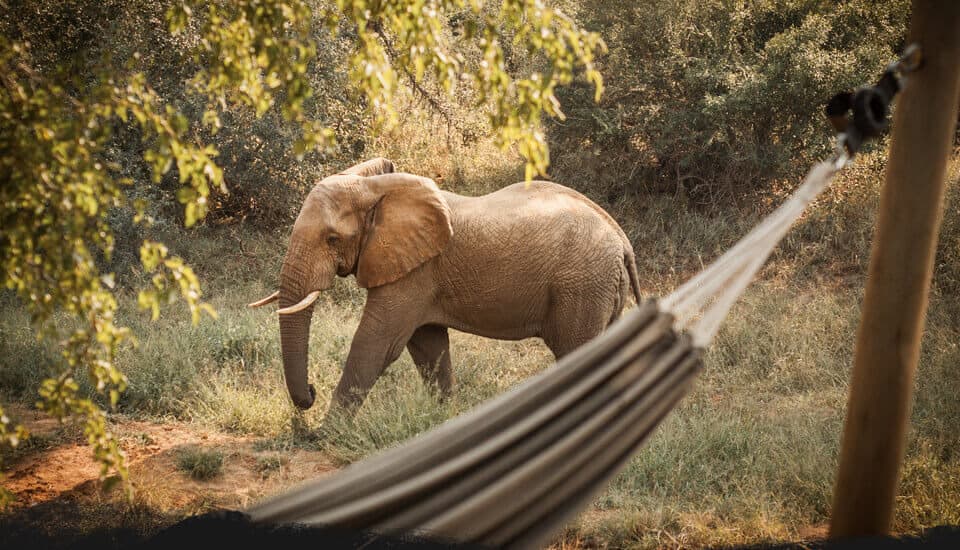 Garonga Safari Camp