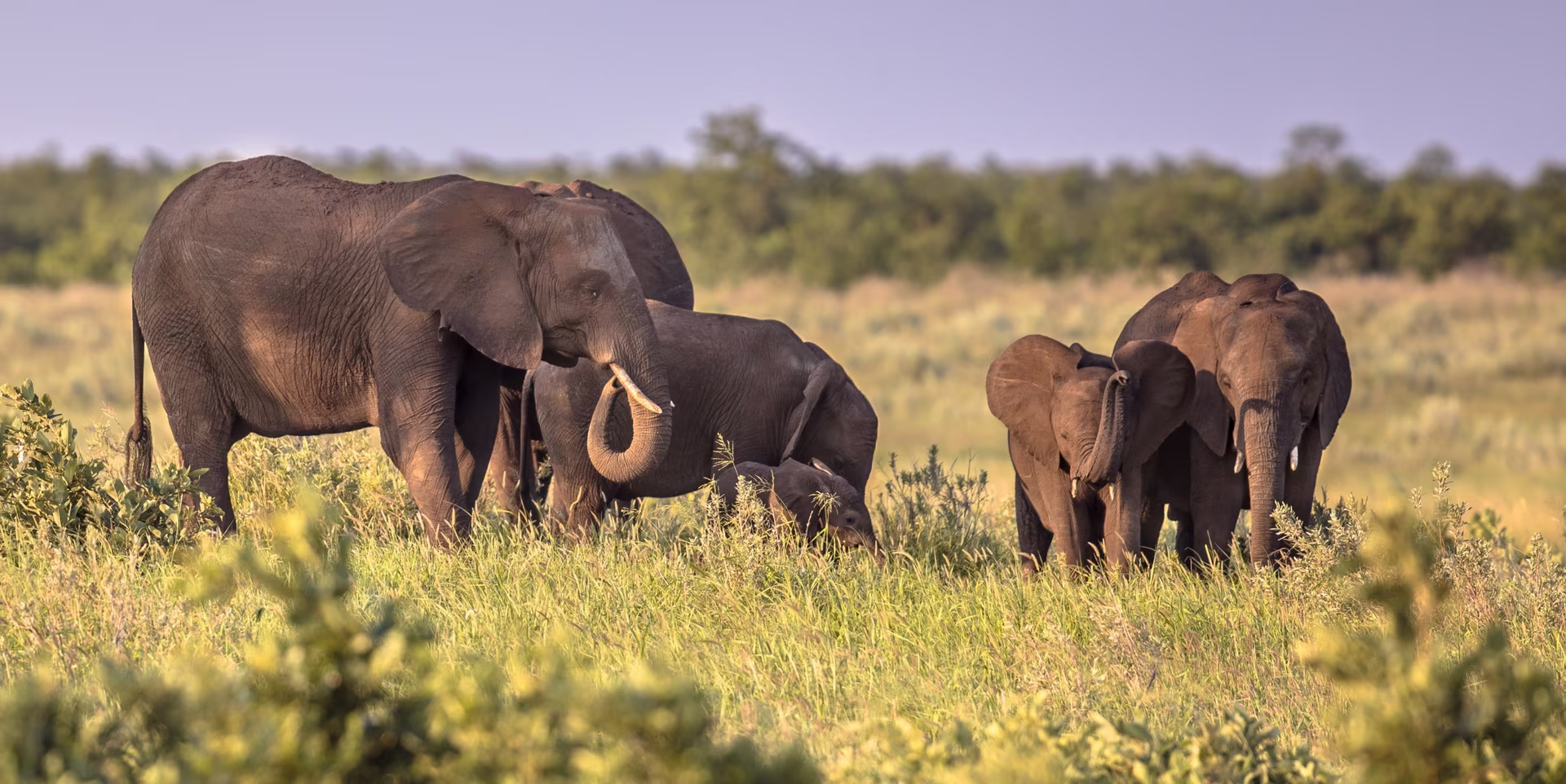 From Kruger to the Elephant Coast via Eswatini
