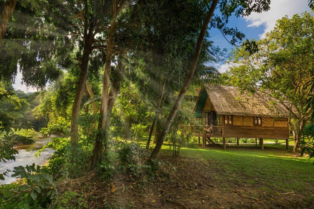 Our Jungle Camp Eco Resort